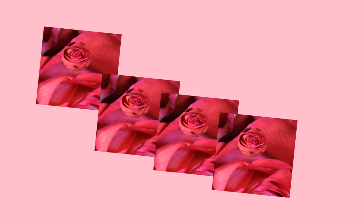玫瑰花99朵html动态代码